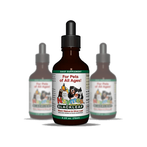 Nzymes - Natural Products, Real Results