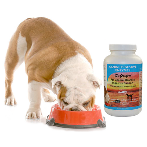 Digestive enzyme powder outlet for dogs