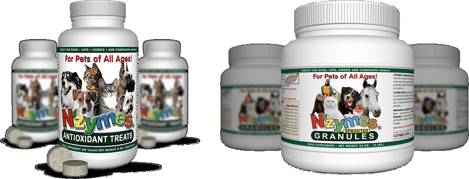 Nzymes - Natural Products, Real Results
