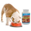 Digestive help for dogs | Dr. Goodpet Canine Digestive Enzymes™ | PAWS4Health
